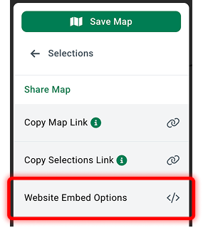 Reports Export Embed Options